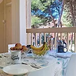 Palmier By Interhome *