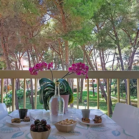 Palmier By Interhome شقة